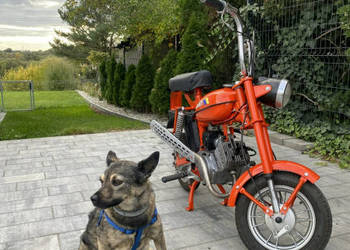 Romet inny Motorynka ( Polski Harley dla ubogich )
