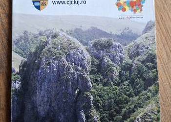 Rumunia Cluj Harta Judetului County Map S&F