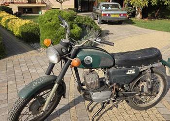 Motor WSK 175cm
