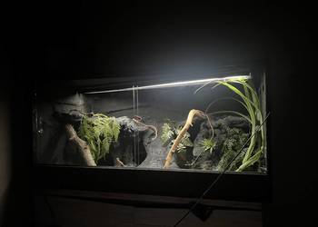 Terrarium 120x60x60 gotowe dla agamy