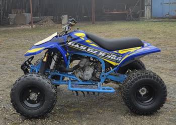 Gas Gas wild 300 2t