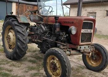 Ciągnik Ursus c328 c330 ciapek traktor