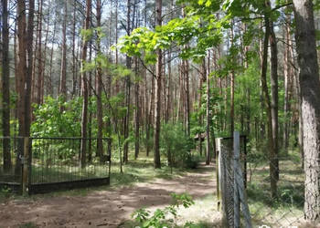 Leśna działka pod dom całoroczny. MPZP, woda i prąd przy działce