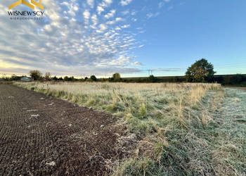Działka 4202 m² w Kościeleczkach – blisko Malborka | 149 000 zł