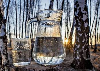 Sok z BRZOZY Hrubieszów i okolice darmowa dostawa przy zakumie min 5L