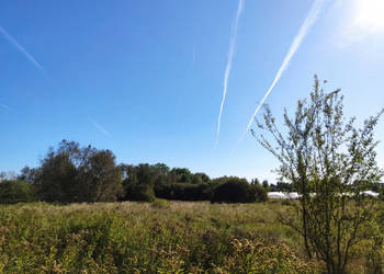 Działka budowlana z warunkami zabudowy 1330m Linów 1830/1