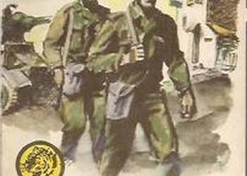 ŻÓŁTY TYGRYS - WRÓCILI POD POLSKIM SZTANDAREM - KAWKA H.