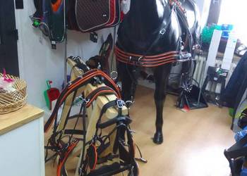 Uprząż szorowa biothan na parę koni rozmiar full