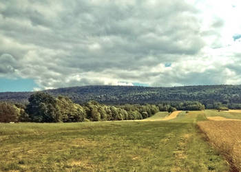 Dom+bud. gosp.+duża działka