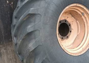 Koło Bizon ZO 56 23.1-26