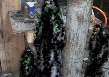 Butla 40L mieszanka mix co2 argon migomat spawarka reduktor