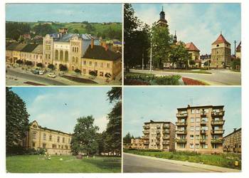 ŻYWIEC WIELOWIDOKOWA ŻYWIEC WIELOWIDOKOWA