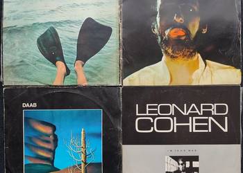 Płyty winylowe - jedyne 50 zł sztuka