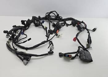 Wiazka Instalacja Glowna Honda Crf 1000 Twin Africa
