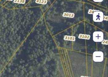 Działka leśna – Świdno, gm. Krasocin – 4654 m² – 22 000 zł