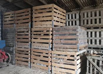 Skrzyniopalety 160cmx120cmx108cm