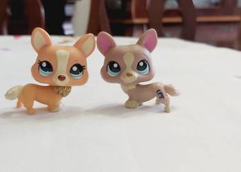 Corgi 2 pieseki z LPS zestaw