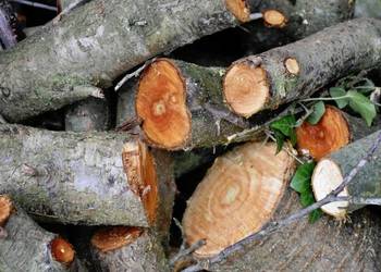 Drewno do wędzenia wiśnia śliwa śliwka jabłoń grusza 1kg 4L kawałki