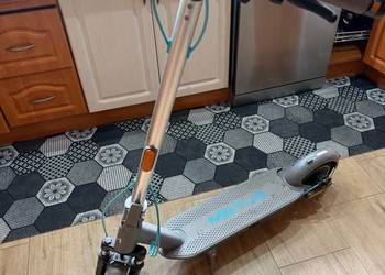 Hulajnoga elektryczna 500W MOTUS Scooty 10 PLUS