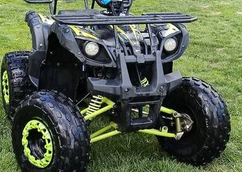 Quad XTR 125 python