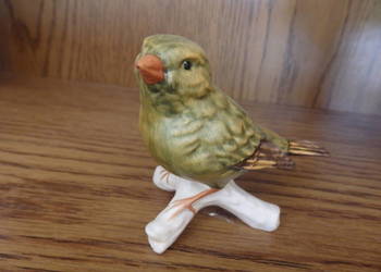 Mały ptaszek Goebel