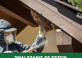 Zwalczanie Os Tczew – Usuwanie Gniazd