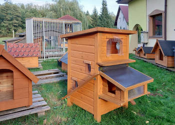 domek dla kota kotów