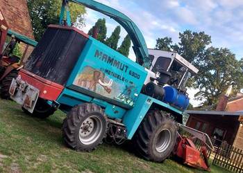 Sieczkarnia do kukurydzy Mengele Mammut (Case) nie Claas John Deere