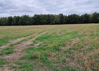 Okazja! Działka 1500 m² I 43 zł/m² I 15 min od Łukowa | Sarnów