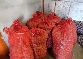 Ziemniaki Vineta Queen Anna