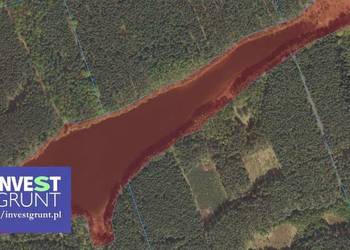 [9,45 ha] jezioro przetarg na dzierżawę
