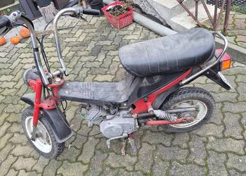 Motorynka stella zarejestrowana