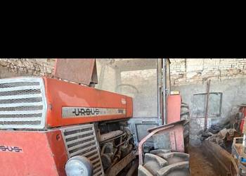 Ursus 1204