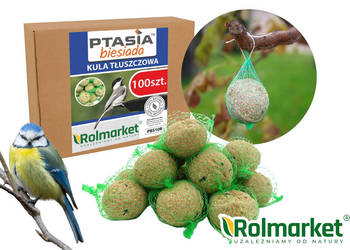 POKARM dla dzikich ptaków KULA tłuszczowa 90g 100szt kule karma