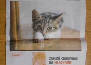 Gazeta o zwierzakach - Gazeta Wyborcza Gazeta o zwierzakach - Gazeta Wyborcza