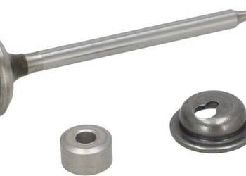 Zawór wydechowy 590531