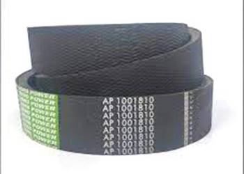 AP1001810 Pas Optibelt