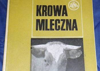 Krowa mleczna - Henryk Jasiorowski