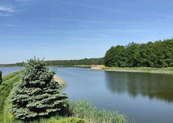 Stawy rybne 12 ha (9,7 ha wody) – inwestycja, hodowla ryb | Opolskie