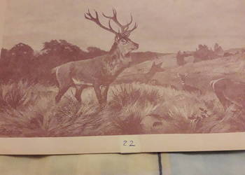 STARY OBRAZ Lata 1950, Jeleń na rykowisku, 2 x czajnik do wyboru, ZEGAR