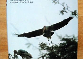 Nepal Parma Christian Stachurski Andrzej album