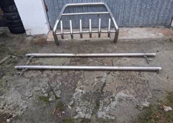 Baranek oryrobanie busa