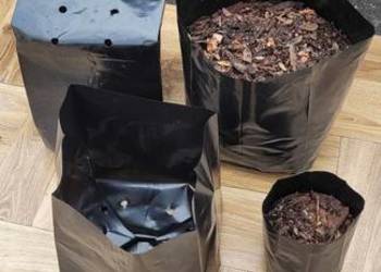 Doniczki foliowe 7L / 100szt PRODUCENT