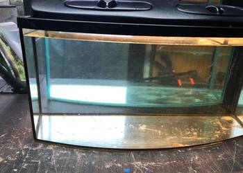 Akwarium panoramiczne 80 cm, pokrywa , oświetlenie 100L