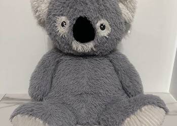 Miś koala duża maskotka 70 cm
