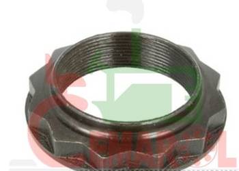 Nakrętka piasty koła tył (M52, 20mm)  IVECO DAILY 7180039 Nakrętka piasty koła tył (M52, 20mm)  IVECO DAILY 7180039