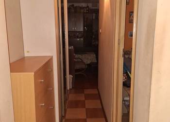 Lokal mieszkalny Nowiny