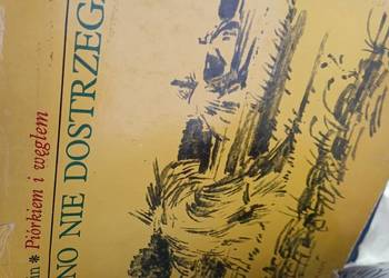 Piękno niedostrzegane Zinn piórkiem i węglem książki Warszawa księgarnia Br Piękno niedostrzegane Zinn piórkiem i węglem książki Warszawa księgarnia Br