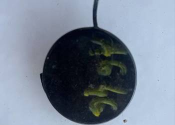 AUDI A6 ZAŚLEPKA HAKA ZDERZAKA PRZÓD 4G0807241