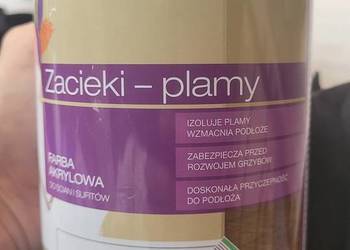 Śnieżka Zacieki-Plamy